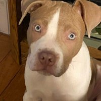 Max (@jeffhal51082096) 's Twitter Profile