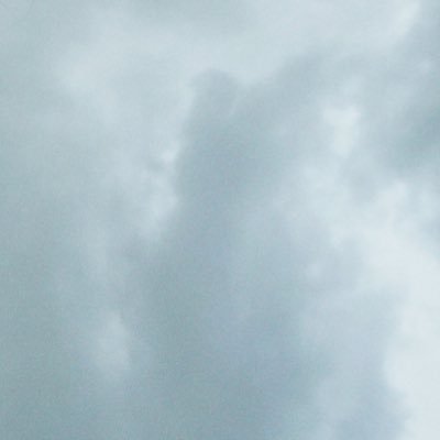 mapleeee_311's profile picture. 