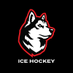 Northeastern Men’s Hockey (@GoNUmhockey) Twitter profile photo