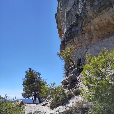 Scientist, Analytical Chemist, I enjoy coding, analyzing MS data and climbing/bouldering.
