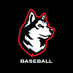 Northeastern Baseball (@GoNUbaseball) Twitter profile photo