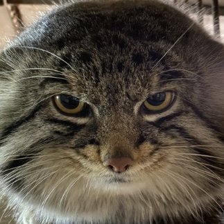 TrebekkLofberg's profile picture. 