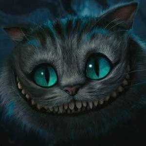 aricadipixan's profile picture. CEO at Ruupitix