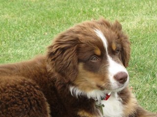 beveragemansam's profile picture. BeverageManSam. Enjoy a beverage and celebrate your life.  https://t.co/vAqnCQeBRw