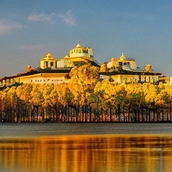 anon_cpa's profile picture. Vibe coding沼の会計士 | 引用/リプ/DM大歓迎です！