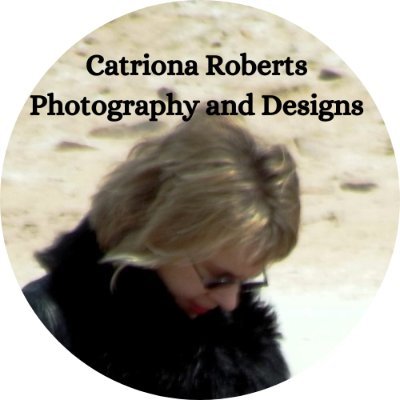 CatRobDesigns Profile Picture