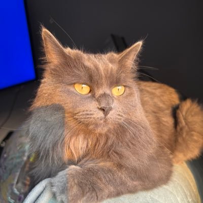 JAY_IIIV's profile picture. 