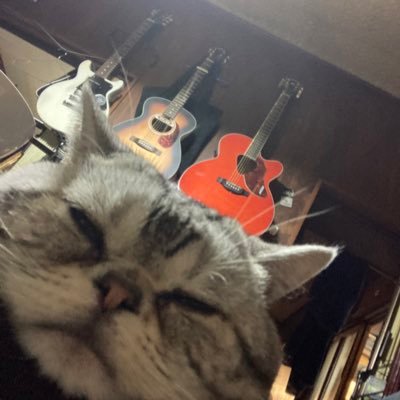 ギターとプロやきう観戦とプラモが好きな人です。ゲーム音楽とかアレンジします。東方多めです https://t.co/P30gnPYAs9 Youtube→ https://t.co/8qIMdNhyjw