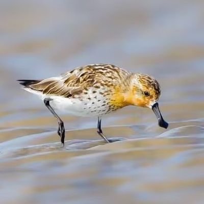 John59248771417's profile picture. 029