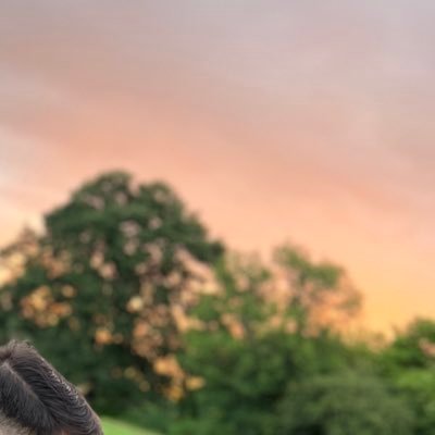 hamzashehzad919's profile picture. gaming is life✌️