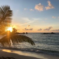 Mrs. Prochnow (@fsdprochnow) 's Twitter Profile