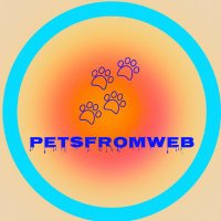 petsfrom web(@Petsfromweb) 's Twitter Profile Photo