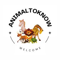 AnimalToKnow(@AnimalToKnow) 's Twitter Profile Photo