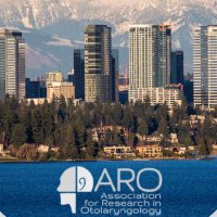 spARO (@sparo_news) Twitter profile photo