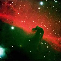 Teodor (@madbulgarian1) 's Twitter Profile Photo