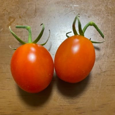 nolifenoknit's profile picture. 🧶編み物は万年超🔰だけど編んでると幸せ🥰 もっと上達してウェアとか編み込みとか挑戦したいことは山ほど/手仕事🧺に興味津々/実は洋裁も一から学びたい✨ あと✒️文房具📝も大好き💕ガラスペンとインクで手紙書く時間とゆとりが欲しい😭 ※無言フォロー失礼致します🙏