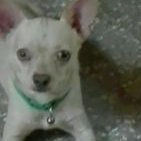 CamejoPompa's profile picture. bayamo. etecsa.