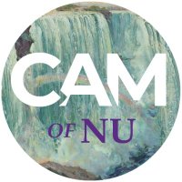 CastellaniArtMuseum (@cam_of_nu) 's Twitter Profile