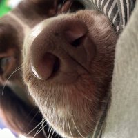 Katie McWatt (@katiemcteaches) 's Twitter Profile