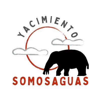 Perfil oficial de los yacimientos de Somosaguas (14 Ma) #Mioceno
🐘🐗🐭🐿️🦴
Excavando desde hace 25 años