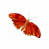 Jerome Forbes - @7conspiral - Twitter