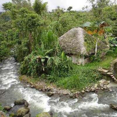 26+ Amazonia Ecuador Turismo Pictures