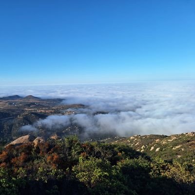 leee3f's profile picture. it/its and sometimes she