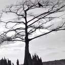 Chris Devery - @Cadevery - Twitter