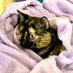さび猫GaGa (@white144289) Twitter profile photo さび猫GaGa (@white144289) Twitter profile photo