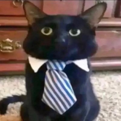 skybluejpg's profile picture. i am a friday stan acc