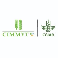 CIMMYT(@CIMMYT) 's Twitter Profile Photo