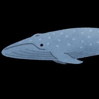 くじらのねぐらさんのプロフィール画像
