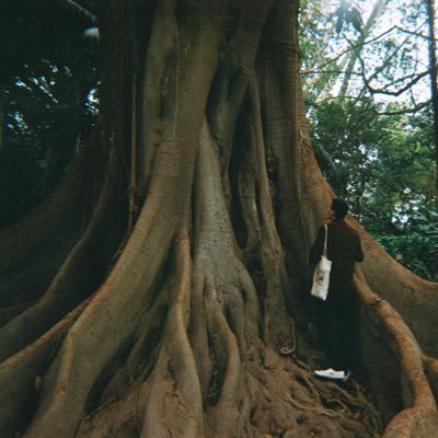 sequeirvjoao Profile Picture