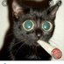 stimsthekitty (@stimsthekitty) Twitter profile photo stimsthekitty (@stimsthekitty) Twitter profile photo