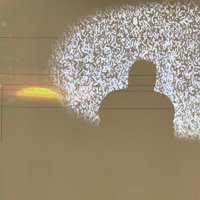 quite quiet (@babarganesh) 's Twitter Profile Photo quite quiet (@babarganesh) 's Twitter Profile Photo