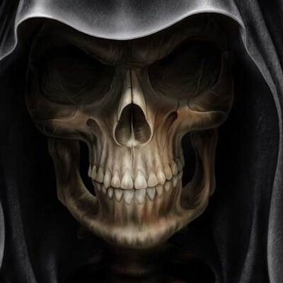 wilsong48757575's profile picture. Blockchain Develop/ necropsy