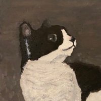 Novatium (@xx_novatium_xx) 's Twitter Profile