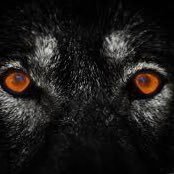 Alphabranders's profile picture. In een vraatzuchtige markt, waar de concurrentie aggressief is, overleven alleen de sterkste merken. Wij creëren dominerende merken #Branding #Marketing #Google