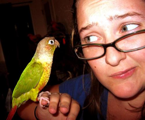 clehman27's profile picture. 