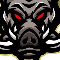 Pittsburgh Riverhogs (@pittriverhogs) 's Twitter Profile