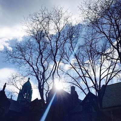 maxNpo2's profile picture. Keep Learning and looking for new opportunities
Data | Python | Java | React | SQL
🌈