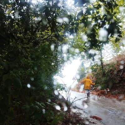 GeorgiaZouzoula's profile picture. 