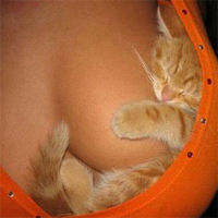 ChoieroMov's profile picture. ちょいエロな動画は『ちょい☆エロ☆ムービー』をやっているちょいエロ管理人です。ちょいエロなムービーをYoutubeやDailymotion等の動画サイトから拾い集めてます。見てね☆ミ