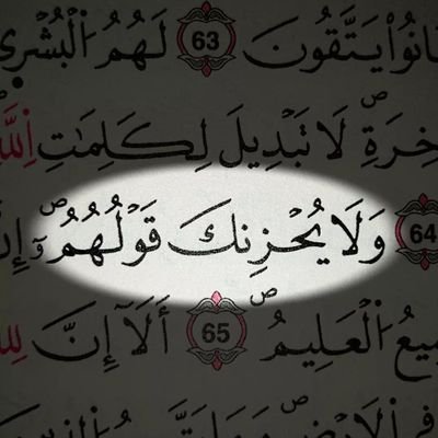 CINDRELLA_A2's profile picture. 🪻