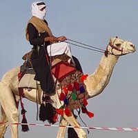 البلوي (@allblwi) Twitter profile photo