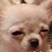 n (@redsaucepastaa) Twitter profile photo n (@redsaucepastaa) Twitter profile photo