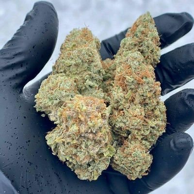 Tap in with  @Cannabisconoisseurs for any inquiries 

Thank you for tapping into the Connoisseur movement 
Telegram
https://t.co/X04wXzxTh2