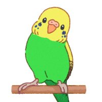 ポン@LMF インコ (@zacian_lovechi) Twitter profile photo