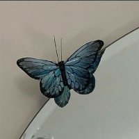 𝒿𝒶𝓂𝒾𝓁𝒶𝓉 𝒶𝓁𝓌𝒹 (@a_7701a) Twitter profile photo