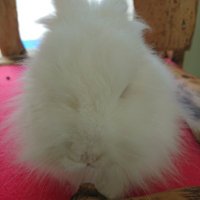 タケ (@takeout2023) 's Twitter Profile